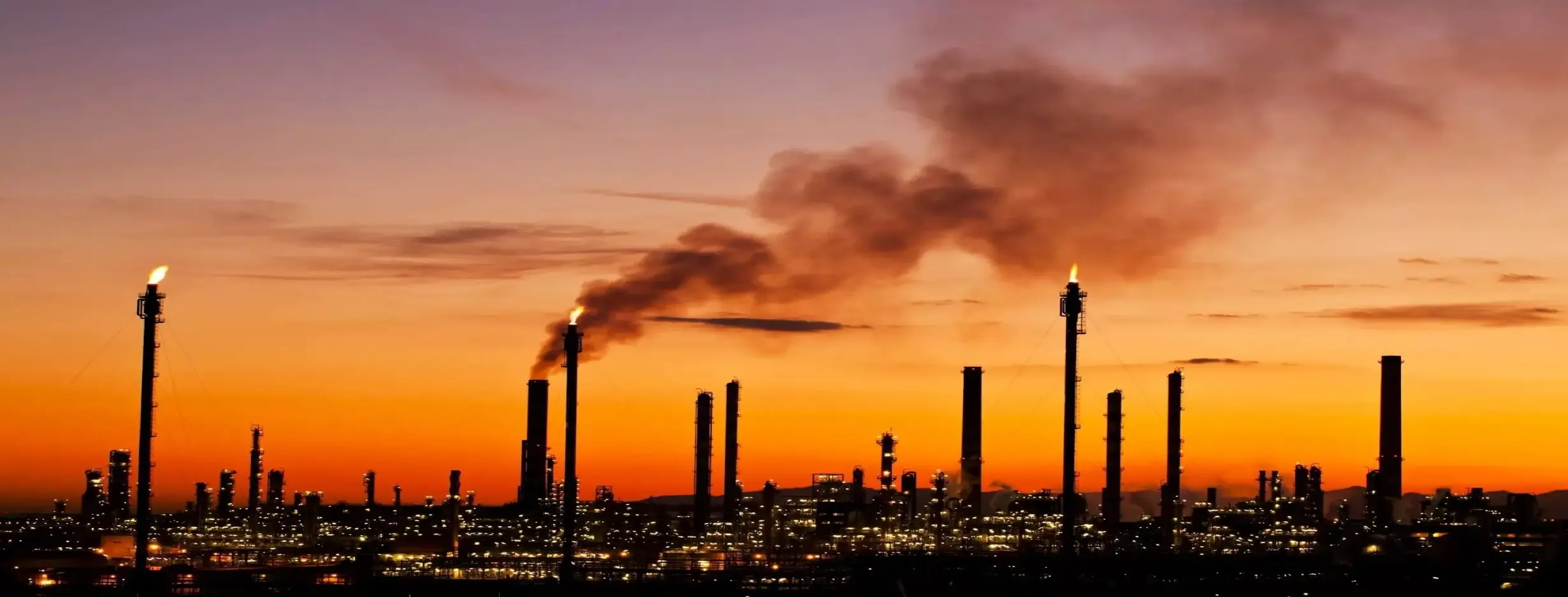 Image for Oil Oasis